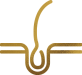 Tricologia